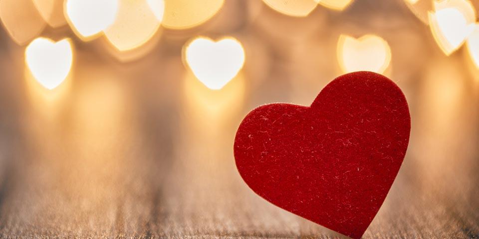 “Crudo & Love”